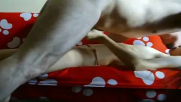 Live ABG Jakarta Bispak Hotel Bintang Lima Terekam Skandal Viral